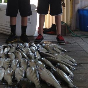 Meet your Posher, Reed